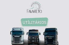 Leilão de Caminhões - Segunda-Feira - 19/05/2025